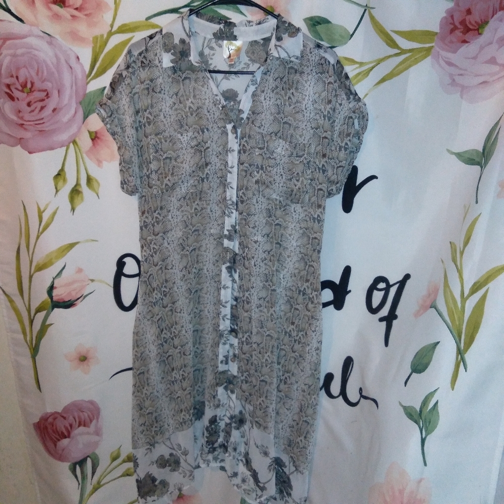 Fig and Flowers Medium sheer Dress